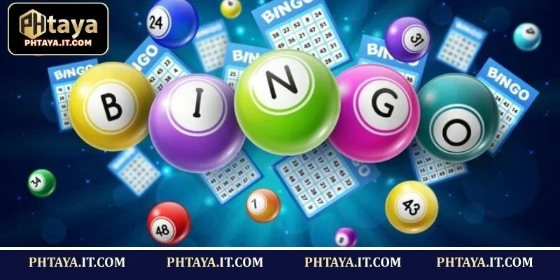 How Bingo Operates Across Different Game Variants