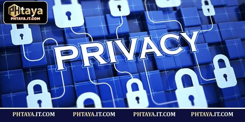 Member Data Rights Defined by the PHTAYA Privacy Policy