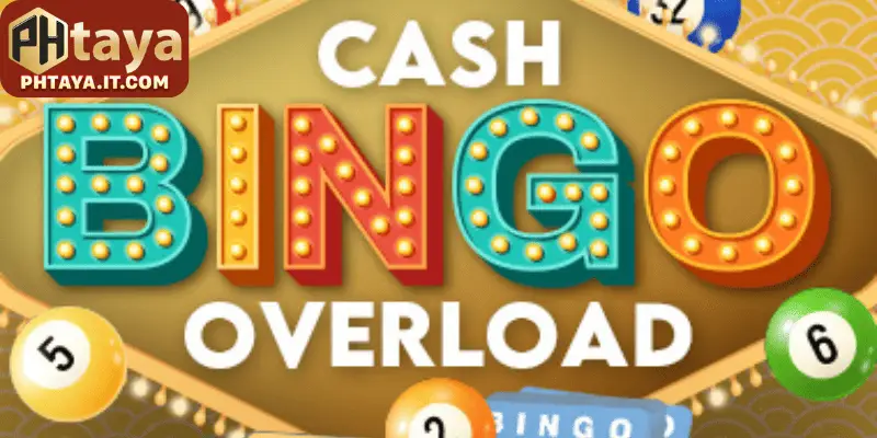 money bingo online